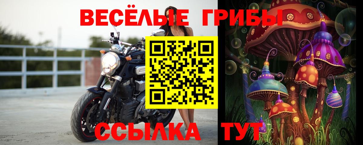 Городец  Псилоцибиновые грибы Psilocybine cubensis  Вход с VPN  Галлюциногенные грибы Psilocybine cubensis 