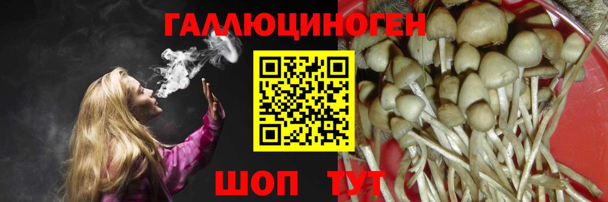 Галлюциногенные грибы MAGIC MUSHROOMS Городец