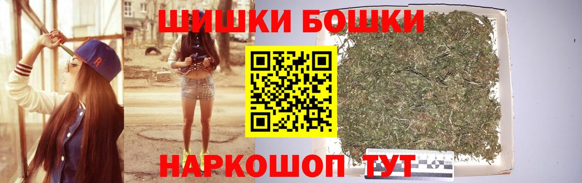 Конопля сатива Городец